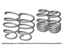 Lowtec Federn für Smart 451