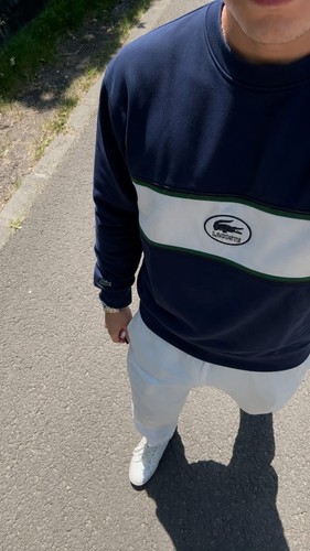 Lacoste sweatshirt pullover - sweatshirt,