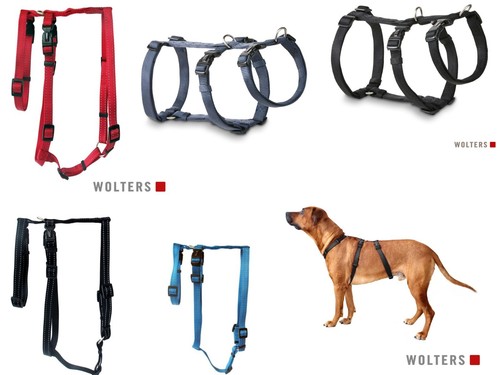 Wolters professional escape - professional, no