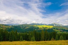 Wandbild: Schöne Sommer