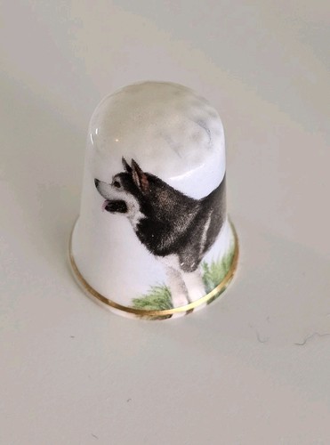 Husky hund fingerhut - husky,