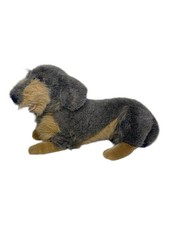 Hund dackel - hund,