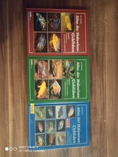 Ad Konings Atlas Der Malawisee