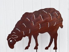 Schaf grasend zum Stecken