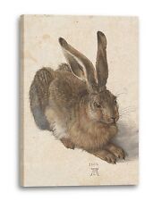 Lein-Wand-Bild Kunstdruck: Albrecht Dürer Feldhase 1502
