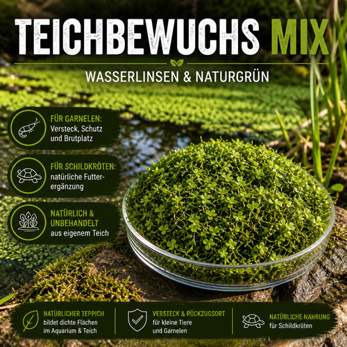 Teichbewuchs mix wasserlinsen - mix,
