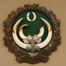 Keilerwaffen Wildschweinwaffen (Sus scrofa) CIC 109,35 IP Trophäe Keiler Gewaff