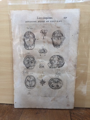 Radierung werke von - von, herrn