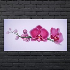 Aquarell Blumen Zweig Orchidee