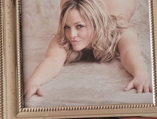 Alexis texas gerahmter druck - alexis,