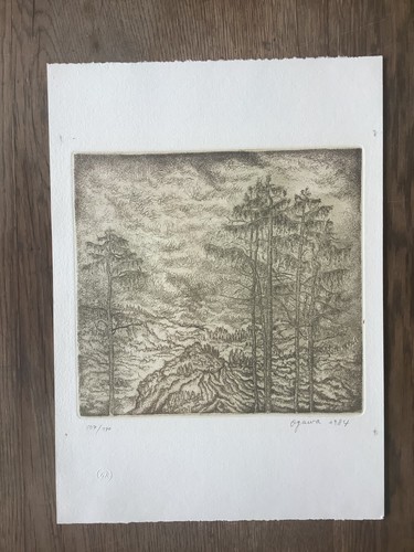 Noriko ogawa japan - ogawa,