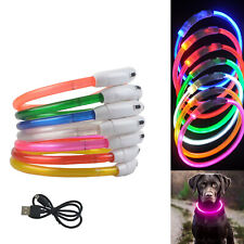 Leuchtendes LED-Hundehalsband