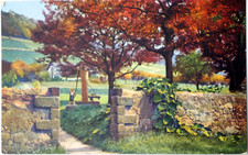 11494 Photochromie AK 4168 Dresden Pillnitz Gartenmauer Kind mit Wasserpumpe