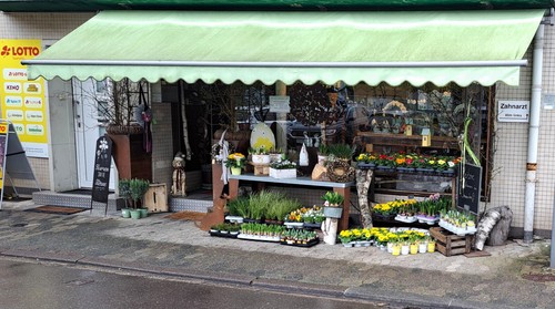 Markise balkon gebraucht voll - markise,