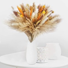 Trockenblume Pampasgras