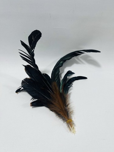 Deko federn groß - deko,
