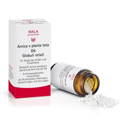 Arnica planta tota 6 - d,
