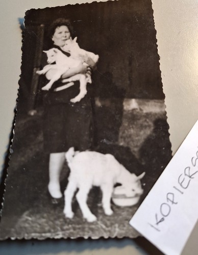 Altes foto vintage frau - altes,