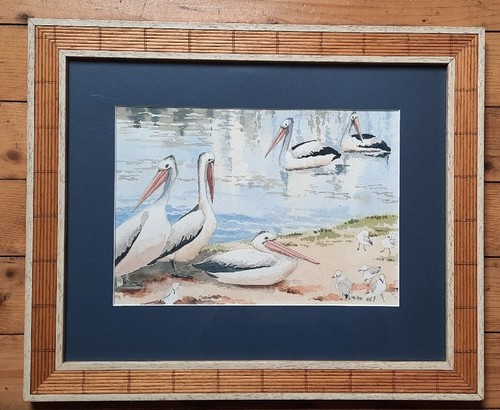 Aquarell pelikane und - aquarell,