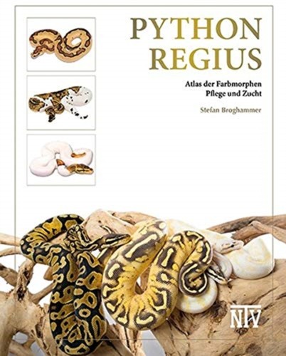 Python regius stefan - python,