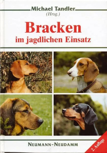 Bracken jagdlichen einsatz - jagdlichen,
