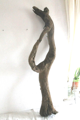Schwemmholz treibholz skulptur - treibholz,