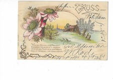 S541 AK Gruß aus Potsdam Blumen Spruch gelaufen 1900!!!