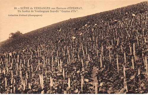 202293 epernay - 51.,