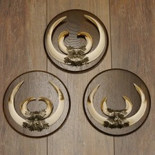 Wildschweinwaffen (Sus scrofa)