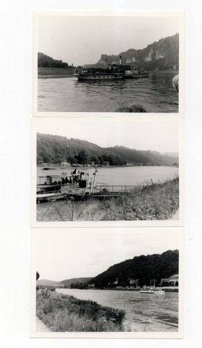 Foto elbedampfer - foto,