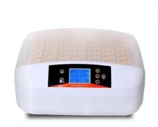 Newest Automatic 56 Eggs