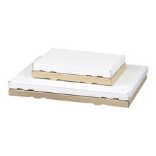 Großbriefkarton 350x250x20 - , mm