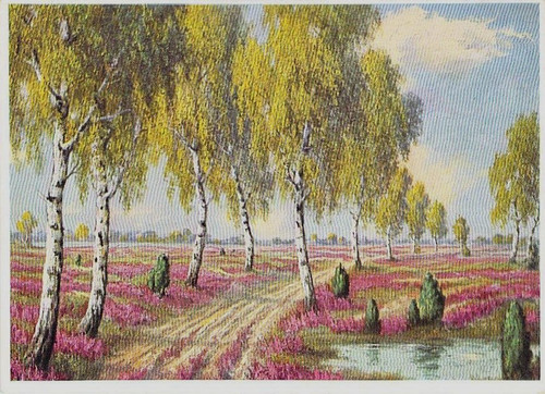 Heide landschaft birkenweg - ak,