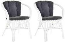 Set/2 Rattan Bistrosessel