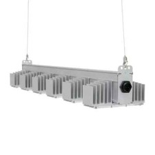 LED growlight