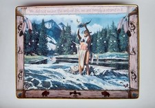 Franklin Mint American Indian