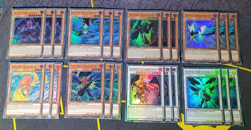 Schwarzflügel komplett deck - schwarzflügel,