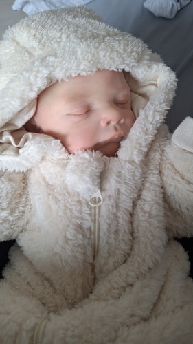 Reborn baby lucas cassie - reborn,