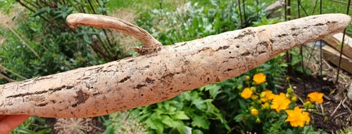 Leicht gebogen - ",
