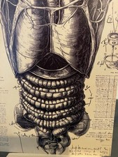 Postkarte Motivkarte