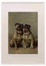 Graf Maud 1864 1943 Der