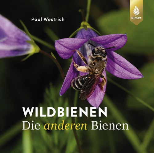 Paul westrich wildbienen die - paul,