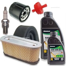 Wartung Tecumseh OHV 130 135