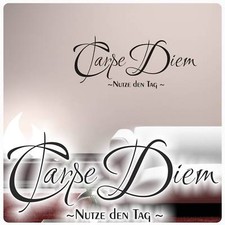 Carpe Diem Nutze den Tag Wandtattoo Wandaufkleber Küche Bad WC W859 