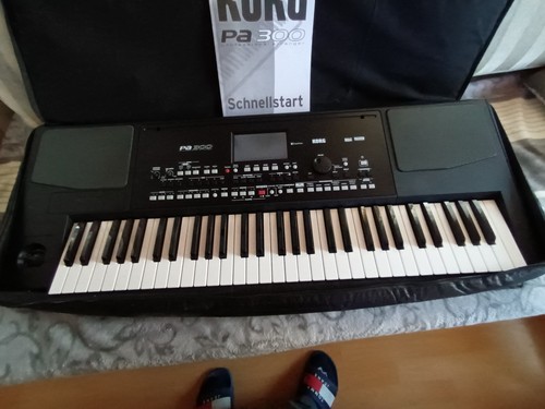 Korg 300 - korg, pa