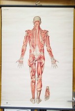 G012/Alte Schulkarte DDR