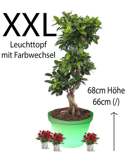 Outdoor led blumentopf - outdoor,