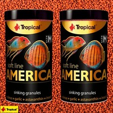 Tropical soft line America