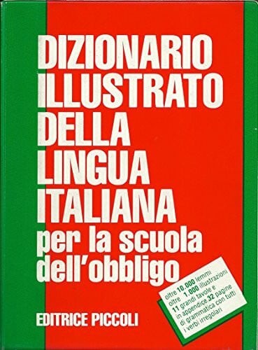 Dizionario illustrato della