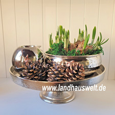 Schale mit fuß - schale,